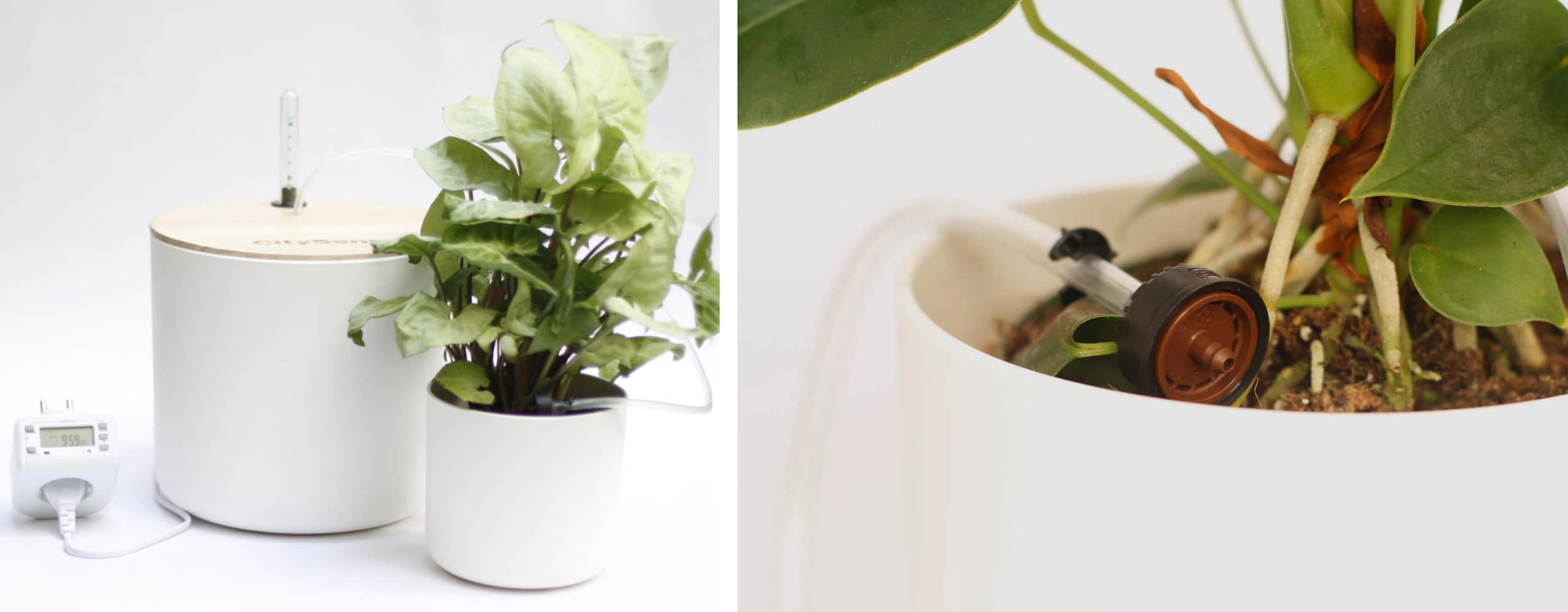Étagère pour Plantes, Jardinière Verticale et Irrigation Automatique Durable | CitySens